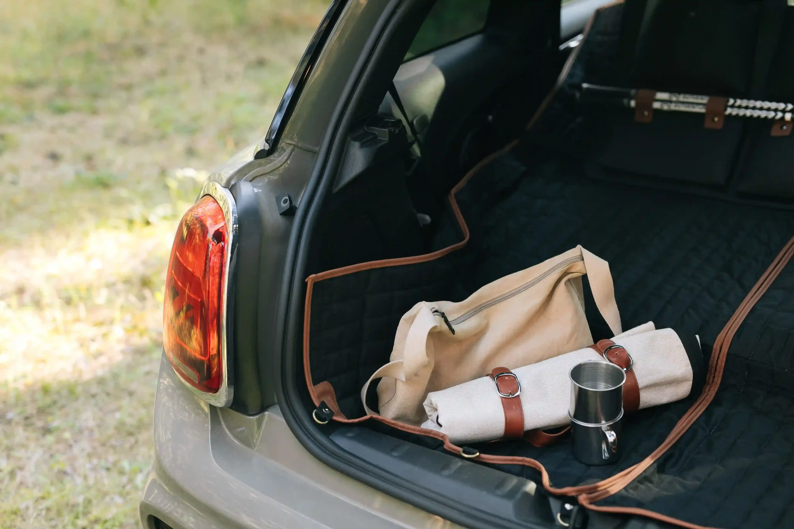 roll up picnic blanket