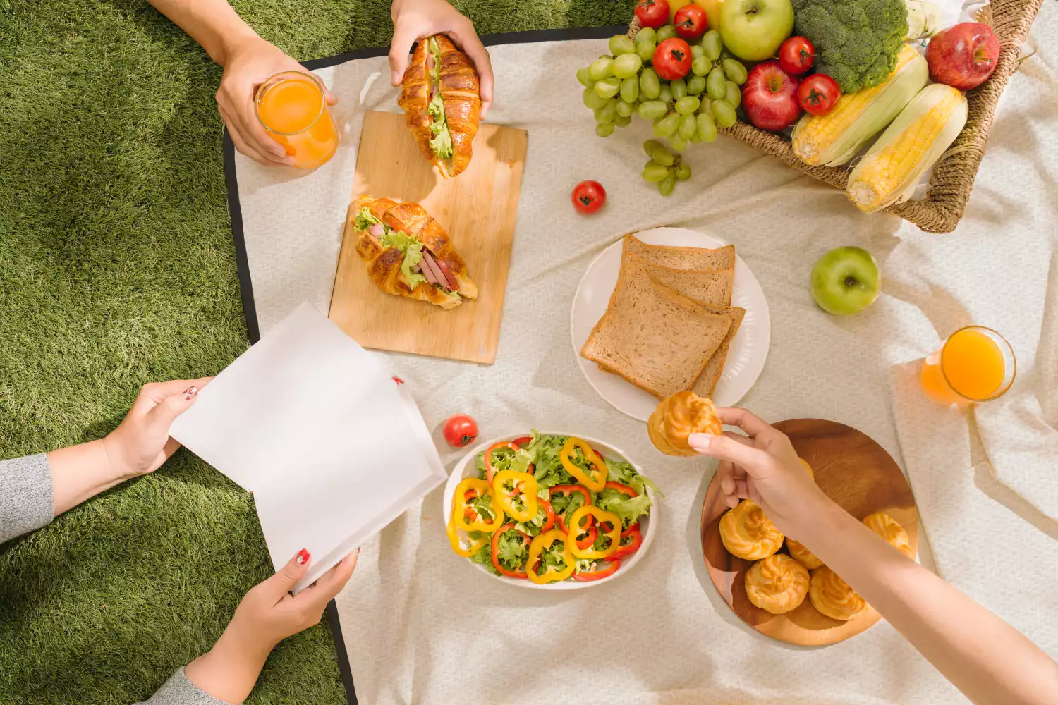 best picnic blanket