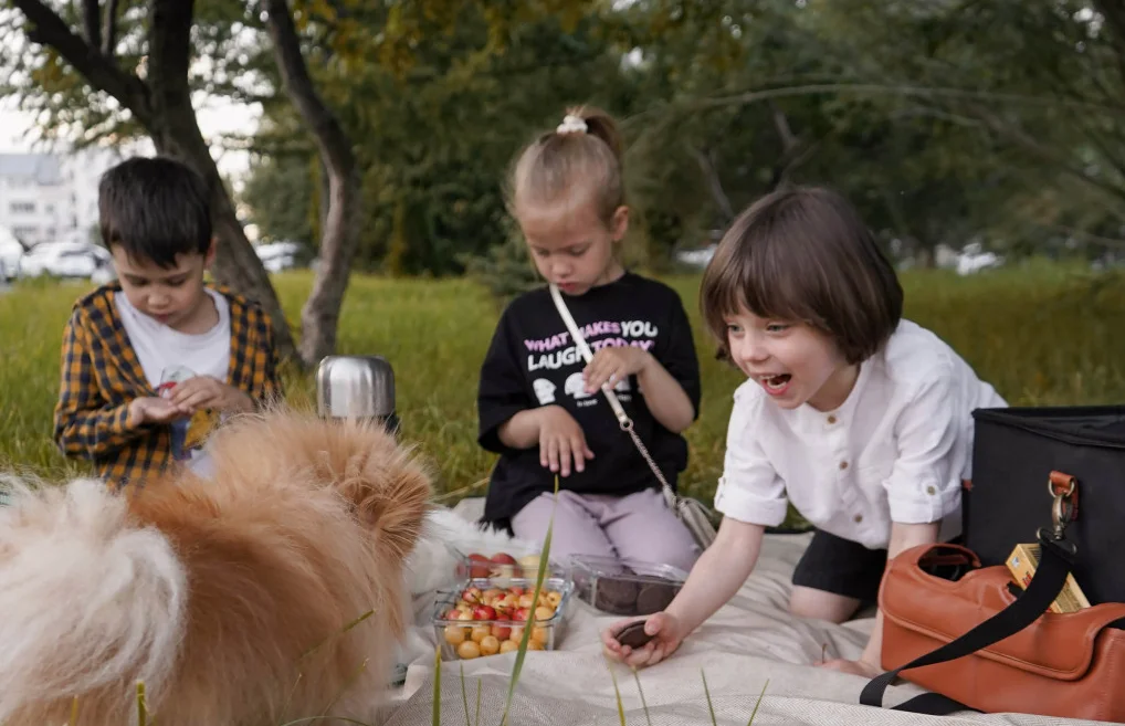 modern picnic blanket